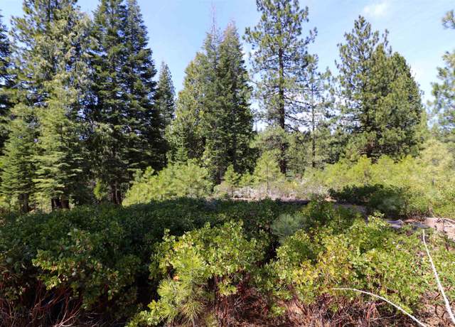 Property at 586 Bailey Creek Dr, Lake Almanor, CA 96137