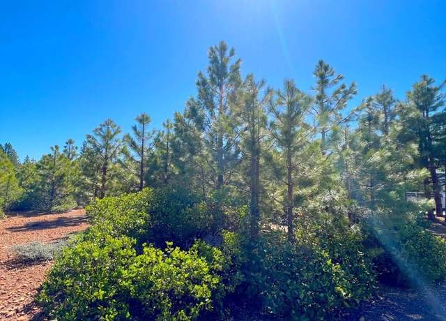 Property at 239 Walsh Ct, Lake Almanor, CA 96137
