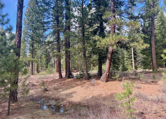 Property at 856 Prospector Dr, Clio, CA 96106