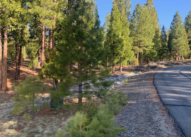 Property at 300 Peppergrass Ln, Portola, CA 96122