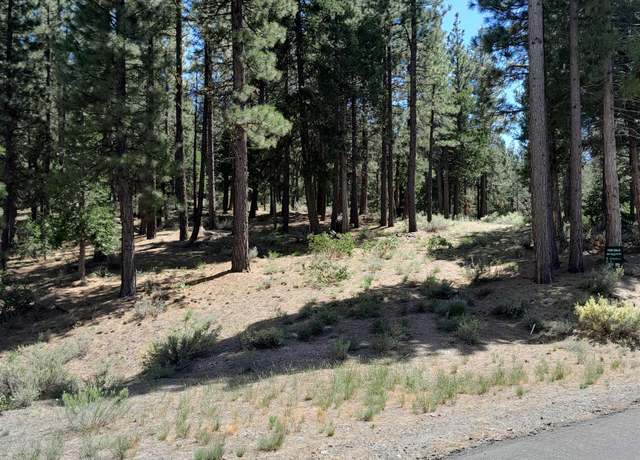 Property at 665 Great Spirit, Portola, CA 96122