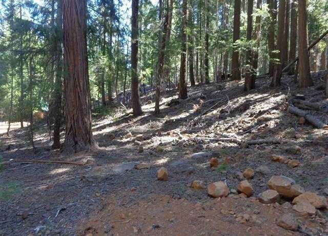 Property at 411 Big Meadows Rd, Canyon Dam, CA 95923