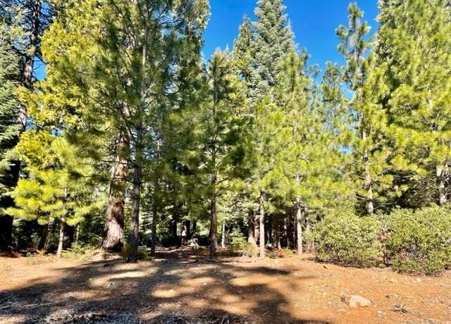 Property at 162 Blue Fox Dr, Lake Almanor, CA 96137