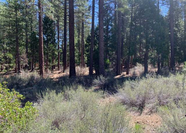 Property at 735 Yeargin Dr, Portola, CA 96122