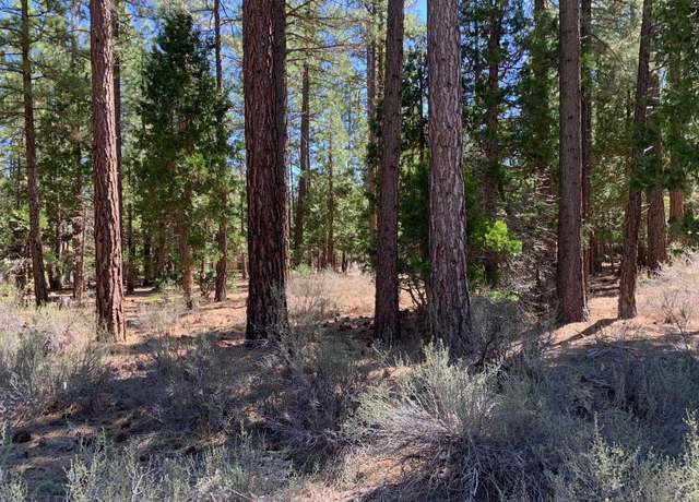 Property at 755 Yeargin Dr, Portola, CA 96122