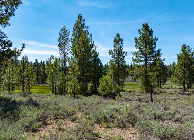 Property at Parcel 3B Highway 70, Portola, CA 96122