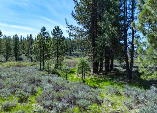 Property at Parcel 2B Highway 70, Portola, CA 96122