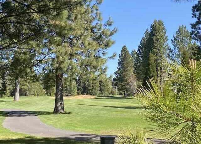 Property at 73 Creekhaven Dr, Lake Almanor, CA 96137