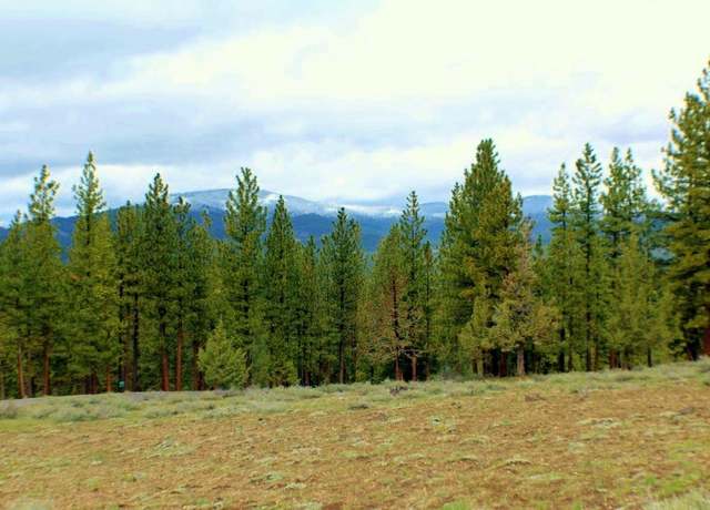 Property at 139 Clouds Rst, Portola, CA
