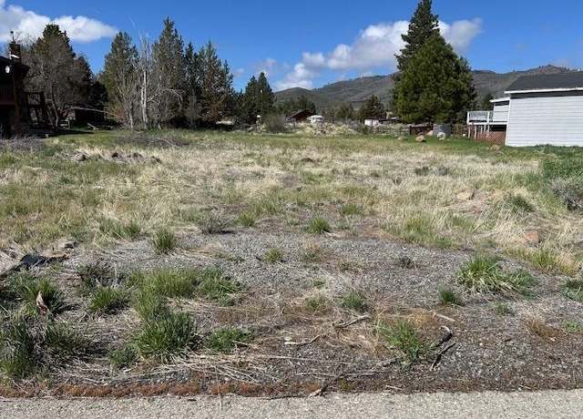 Property at 527 Longhorn Dr, Loyalton, CA 96118