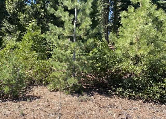 Property at 36 Winterwood Dr, Lake Almanor, CA 96137