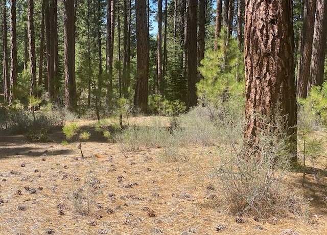 Property at 709 Redtail Loop, Clio, CA 96106