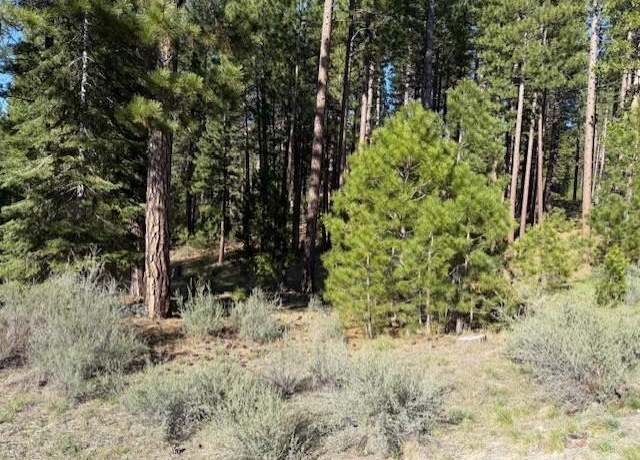 Property at 691 Redtail Loop, Clio, CA 96106