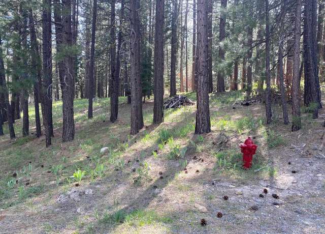 Property at 247 Gold Nugget Ln, Graeagle, CA 96103
