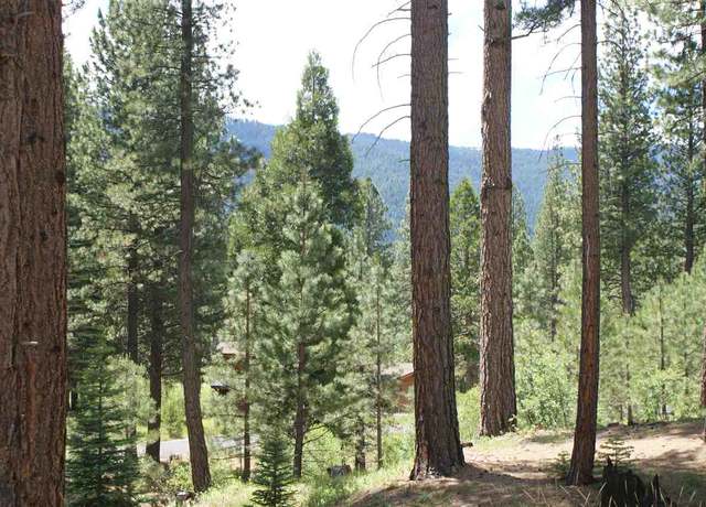 Property at 686 Bobcat Trl, Clio, CA 96106