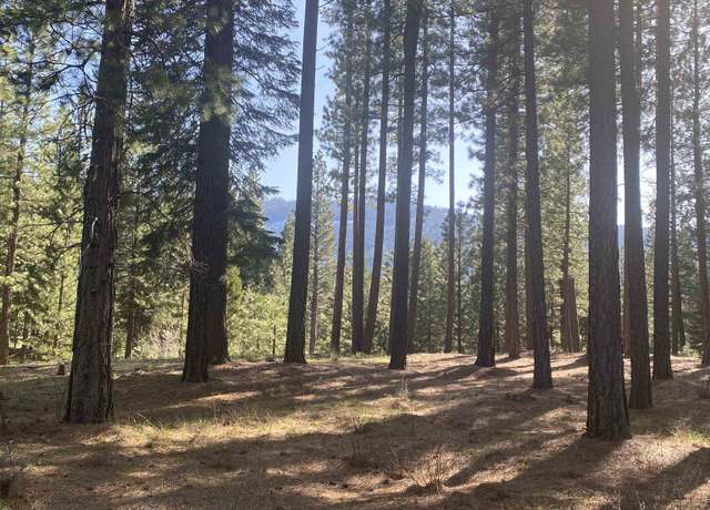Property at 664 Bobcat Trl, Clio, CA 96106