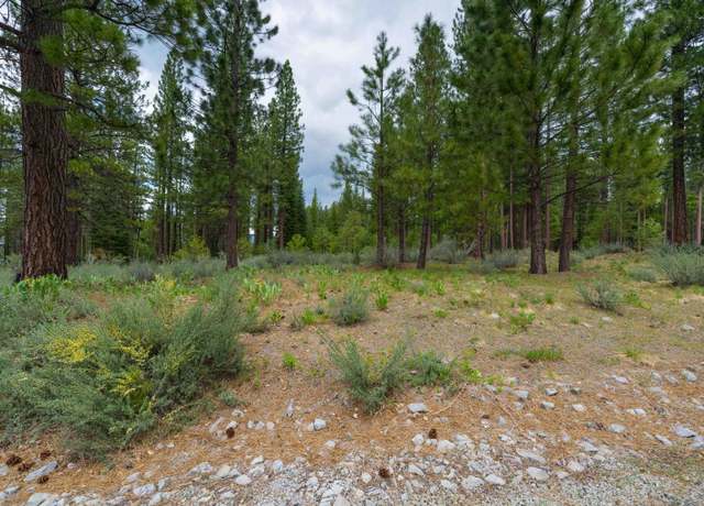 Property at 573 Bobcat Trl, Clio, CA 96106