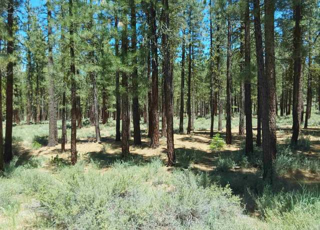 Property at 202 Village Trl, Portola, CA 96122