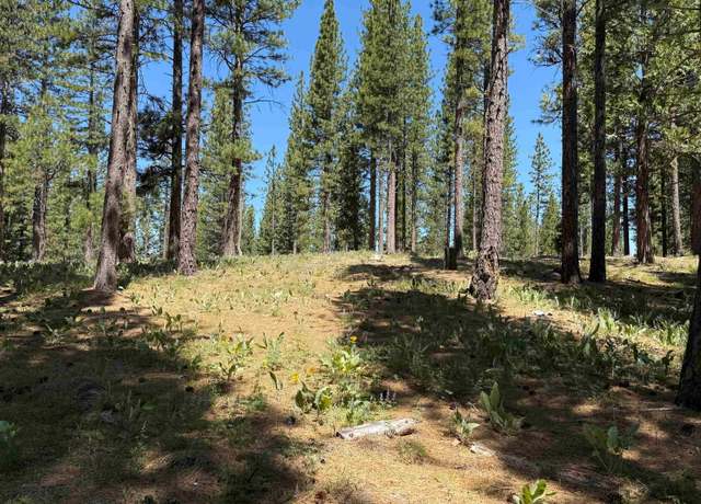 Property at 302 Boulder Dr, Clio, CA 96106