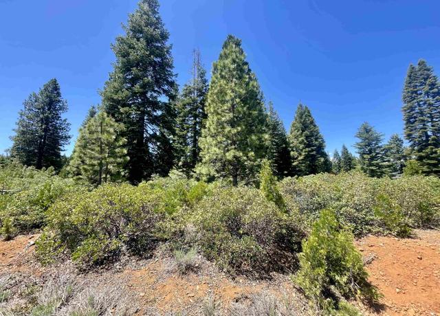 Property at 240 Walsh Ct, Lake Almanor, CA 96137