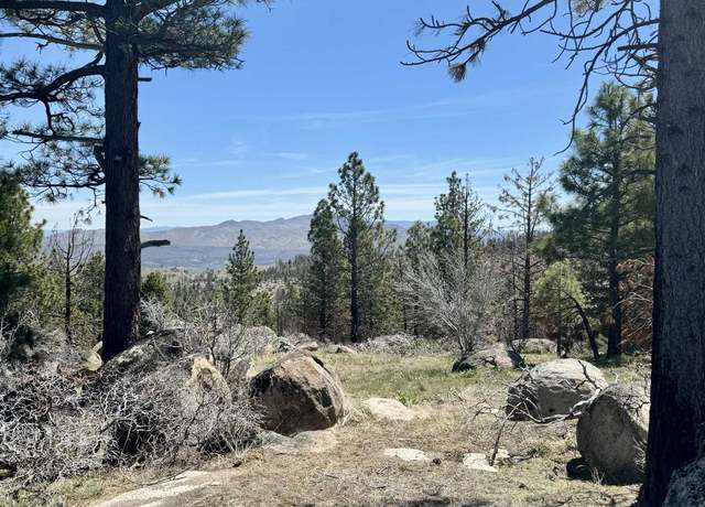 Property at 434-100 Diamond Mountain Rd, Doyle, CA 96109