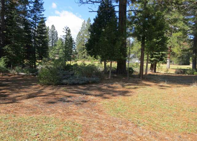Property at 533 Dinsmore Dr, Lake Almanor, CA
