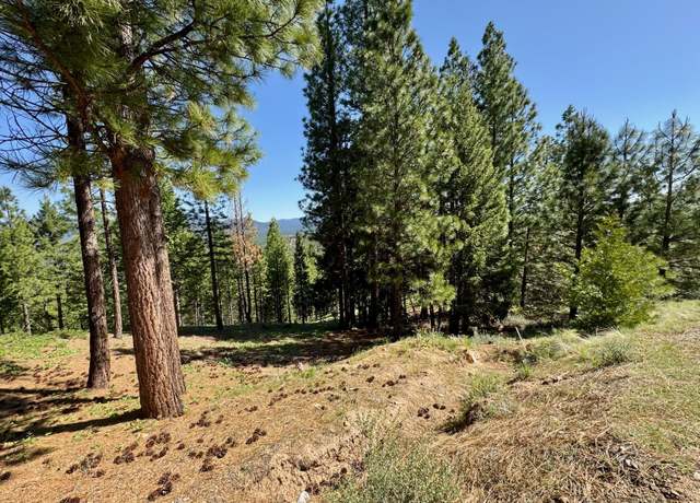 Property at 684 Startop, Portola, CA 96122