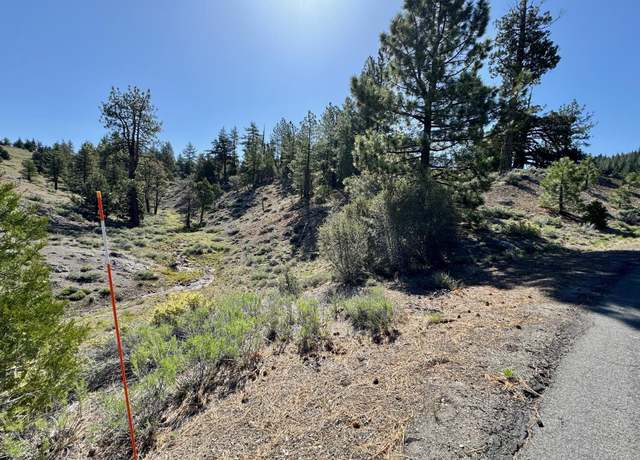 Property at 492 Clouds Rst, Portola, CA 96122