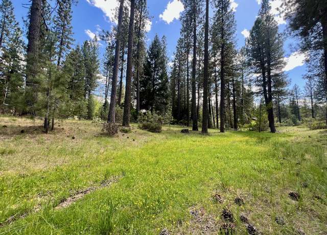 Property at 375 Eureka Springs Dr, Blairsden, CA 96103