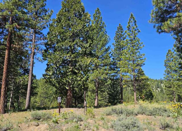 Property at 403 Big Grizzly, Portola, CA 96122