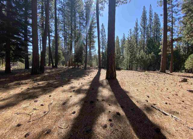 Property at 738 Miner's Psge, Clio, CA 96106