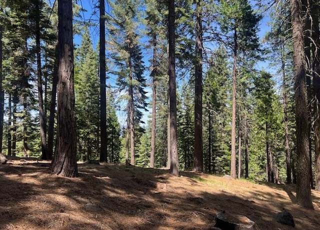 Property at 172 Slim Dr, Lake Almanor, CA 96020