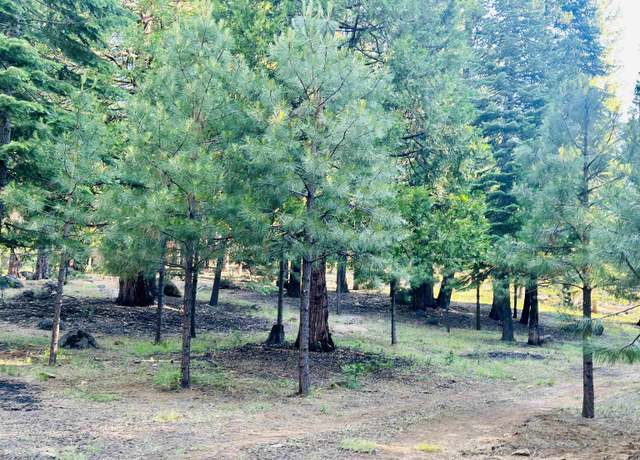 Property at 275 Osprey Loop, Lake Almanor West, CA 96020