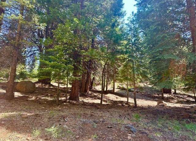 Property at 268 Osprey Loop, Lake Almanor West, CA 96020