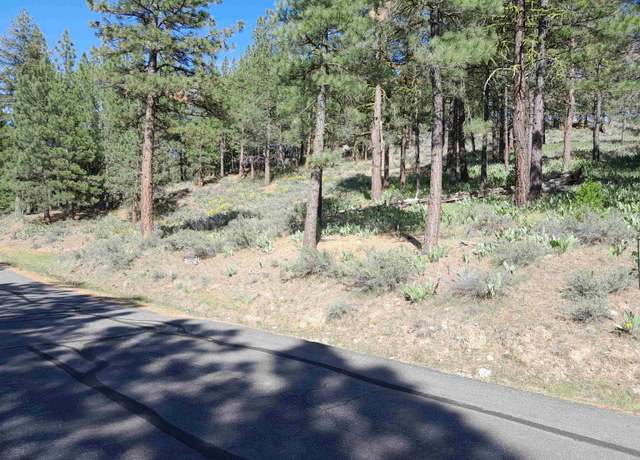 Property at 1125 Cloud Painter, Portola, CA 96122