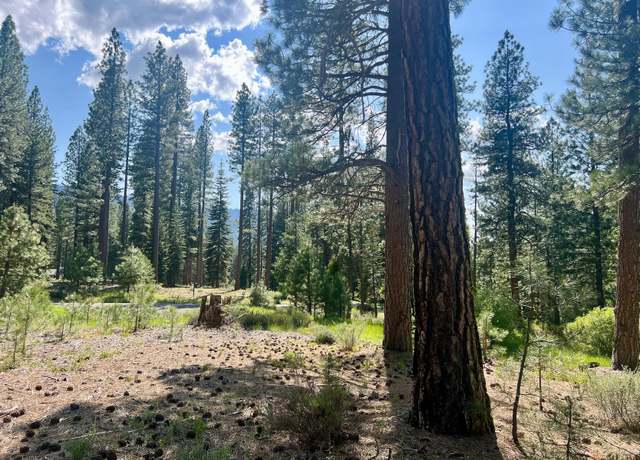Property at 950 Miner's Psge, Clio, CA 96106