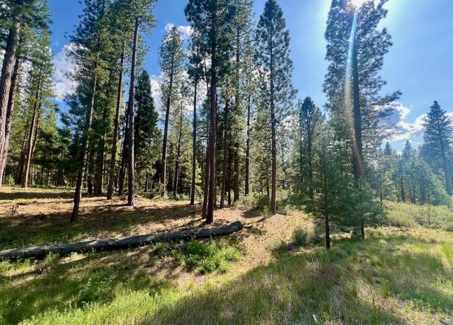 Property at 670 Redtail Loop, Clio, CA 96106