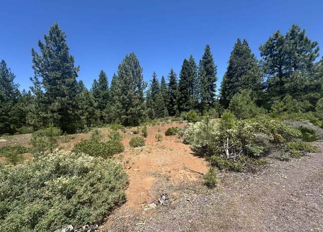 Property at 360 Bailey Creek Dr, Lake Almanor, CA 96137