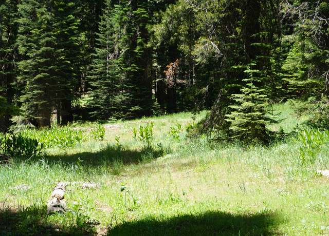 Property at 1116 Highlands Rd, Bucks Lake, CA 95956