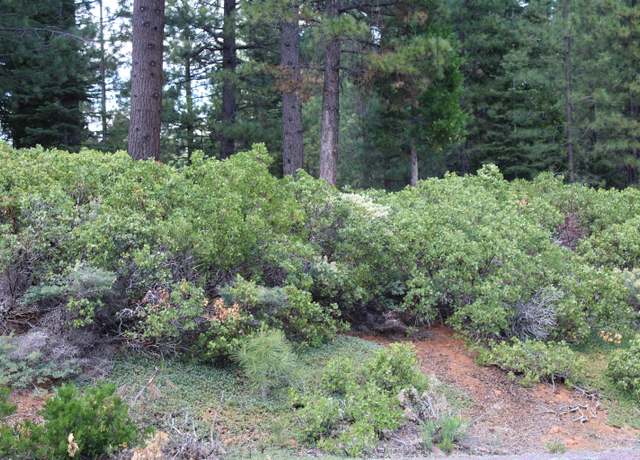 Property at 838 Red River Dr, Lake Almanor, CA 96137