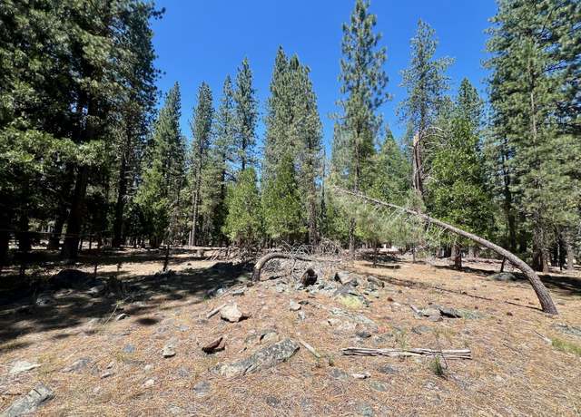 Property at 38 Tolowa Trl, Graeagle, CA 96103
