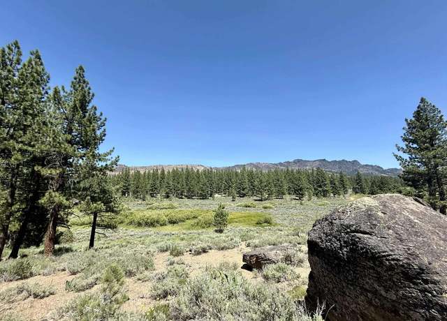 Property at 4769 Dixie Valley Rd, Chilcoot, CA 96105