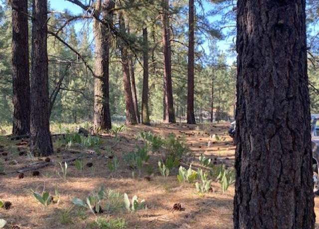 Property at 410 Idle Hour Dr, Portola, CA 96122