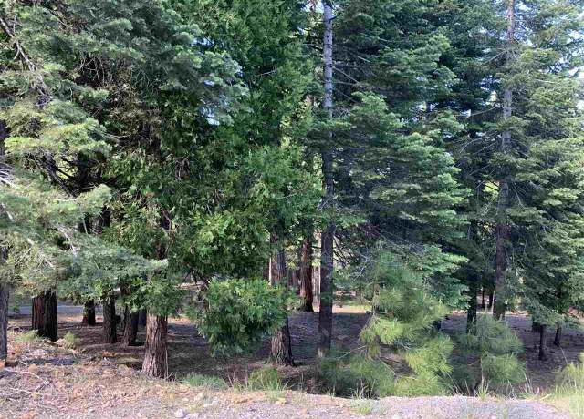 Property at 203 Top of The West Dr, Lake Almanor West, CA 96020