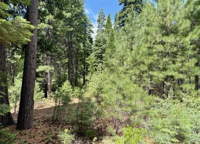 Property at 56 Fox Crest Dr, Lake Almanor, CA 96137