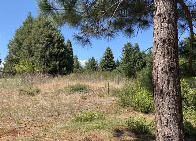 Property at 3413 Cedar Ln, Lake Almanor, CA 96137