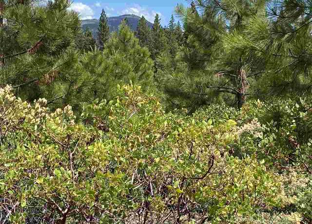 Property at 37 Walsh Ct, Lake Almanor, CA 96137