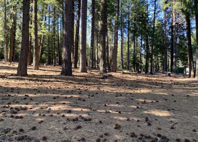Property at 615 E Mountain Ridge Rd, Lake Almanor, CA 96137