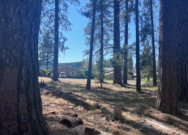 Property at 425 Lundy Ln, Blairsden, CA 96103