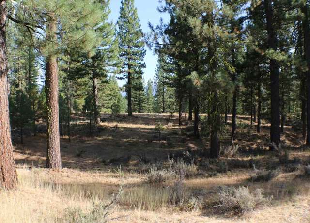 Property at 221 Cayden Dr, Clio, CA 96106